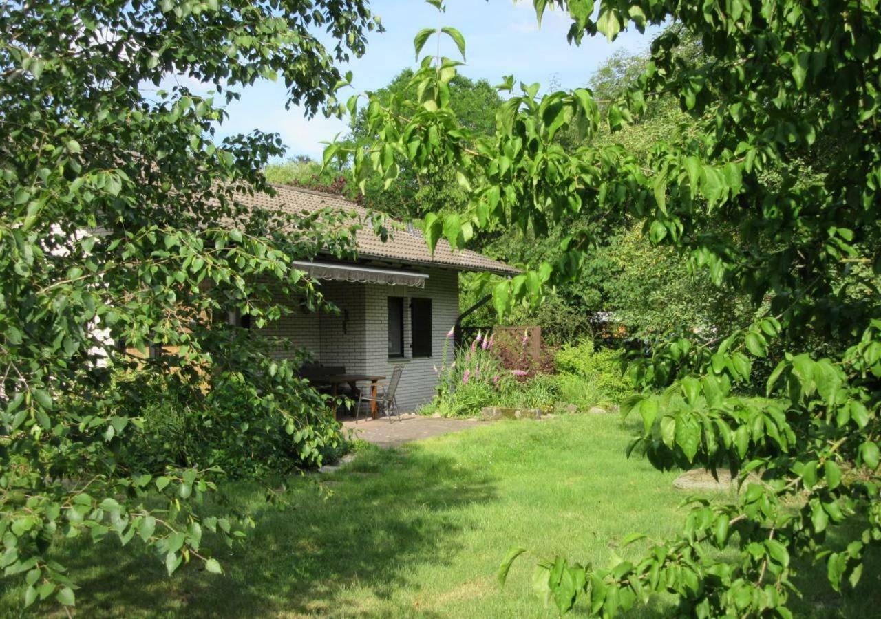 Ferienhaus Uchte / Darlaten Villa Exterior foto